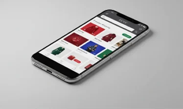 E-commerce Platforms