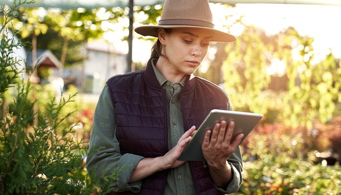 Farm Management Software Boosts Productivity